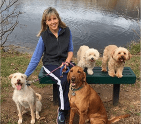 A woman sitting on top of a bench with four dogs.