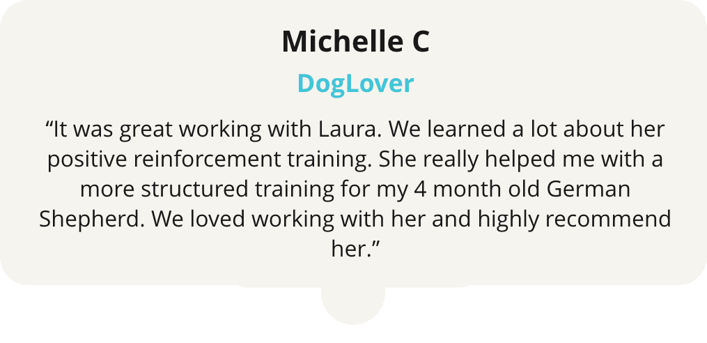 A testimonial from michelle c. About her training