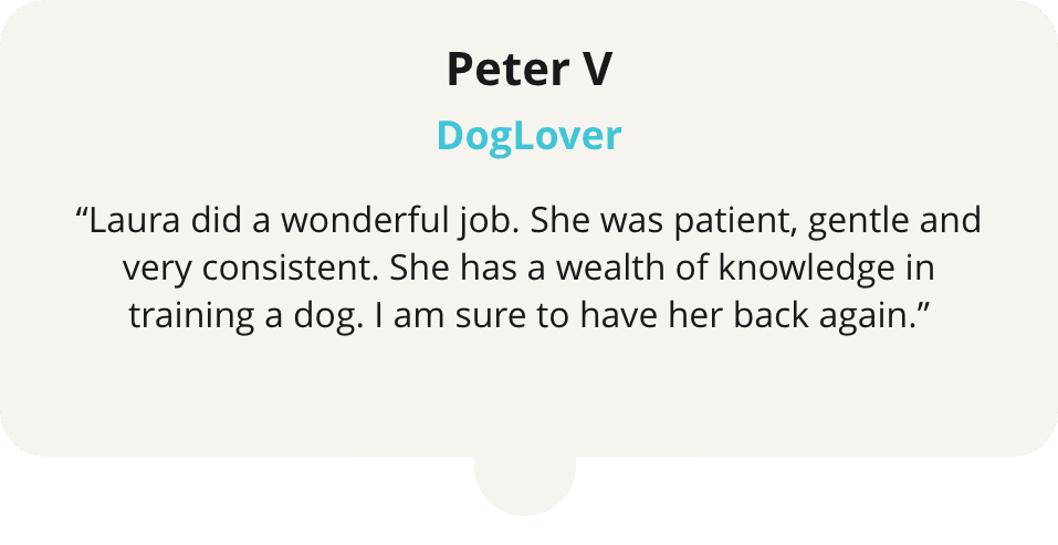 A dog is sitting in front of the words peter v.