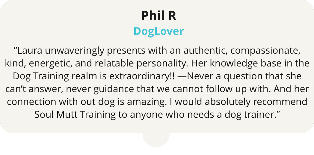 A dog trainer 's testimonial for his training.