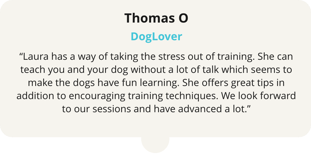 A dog trainer 's profile on his website.