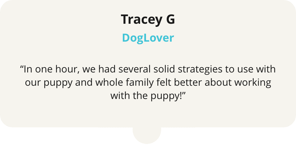 A dog 's testimonial for tracey g.